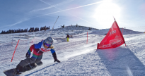 Bild1
