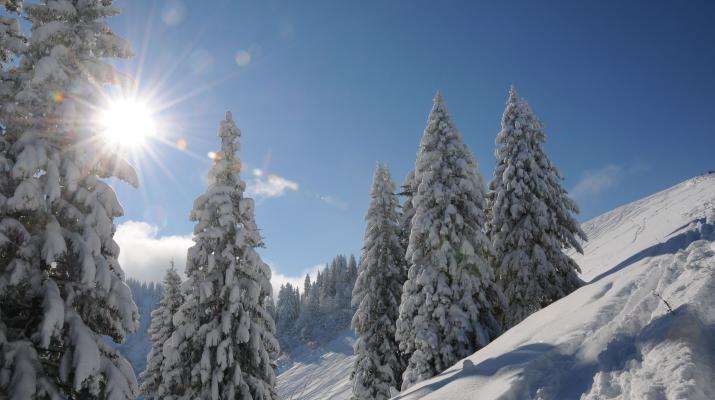 131127 Skitour rosskopf sonnig 0036